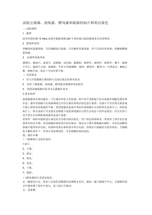 实验五 细菌、放线菌、酵母菌和霉菌的制片和简单染色.docx