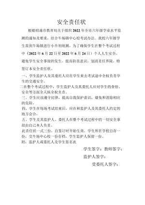 小学安全责任状.docx