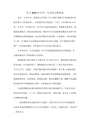 学习2022年中央一号文件心得体会感悟二.docx