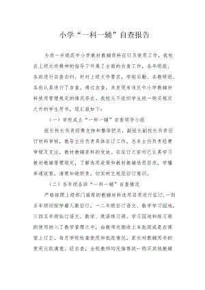 小学“一科一辅”自查报告.docx