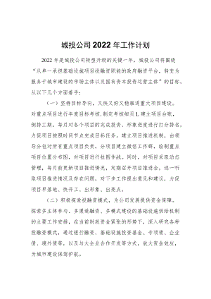 城投公司2022年工作计划.docx