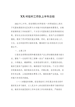 XX村驻村工作队上半年总结.docx