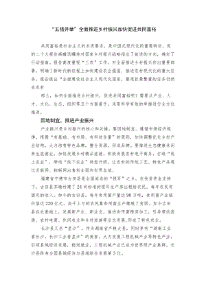 “五措并举”全面推进乡村振兴 加快促进共同富裕.docx