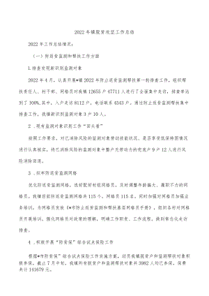 2022年镇脱贫攻坚工作总结.docx