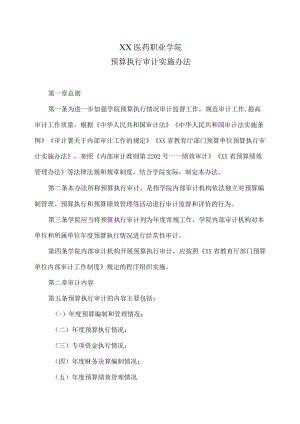 XX医药职业学院预算执行审计实施办法.docx