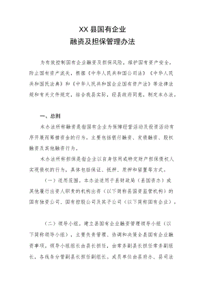 XX县国有企业融资及担保管理办法.docx