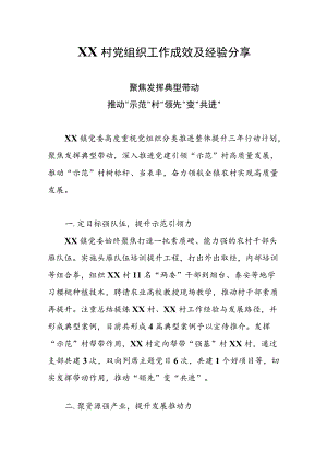 XX村党组织工作成效及经验分享.docx