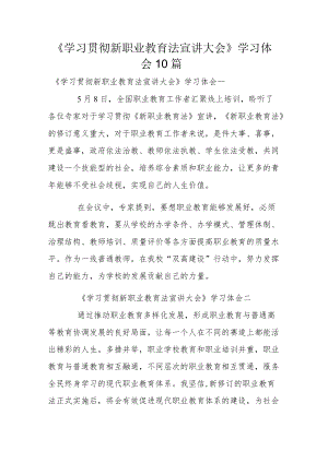 《学习贯彻新职业教育法宣讲大会》学习体会10篇.docx