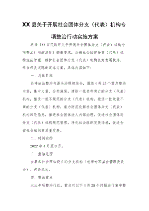 XX县关于开展社会团体分支(代表)机构专项整治行动实施方案.docx