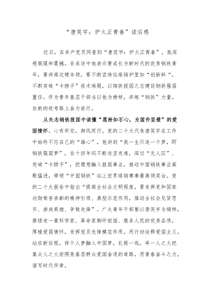“唐笑宇：炉火正青春”读后感.docx