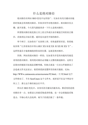 什么是绝对路径.docx