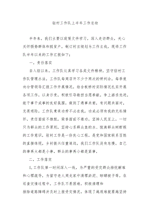 驻村工作队上半年工作总结.docx