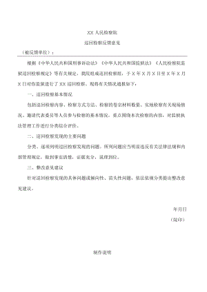 人民检察院巡回检察反馈意见.docx