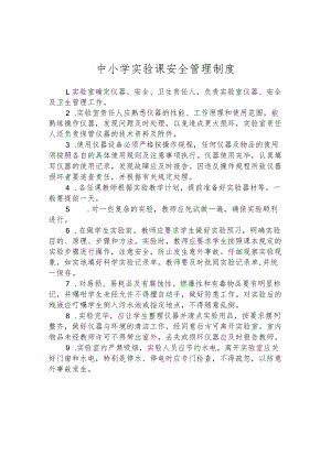 中小学实验课安全管理制度.docx