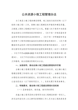 公共资源小微工程管理办法.docx