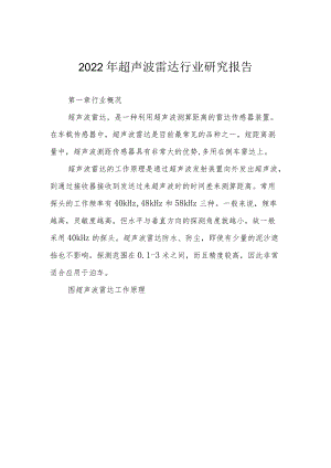 2022年超声波雷达行业研究报告.docx