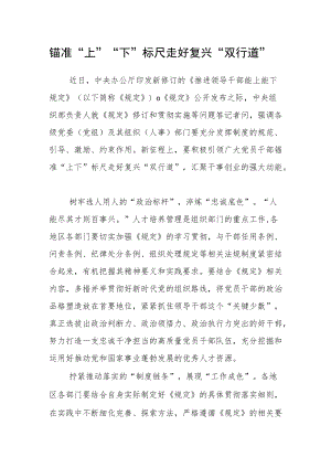 【学习《推进领导干部能上能下规定》体会文章】深学笃行 锚准“上”“下”标尺走好复兴“双行道”.docx