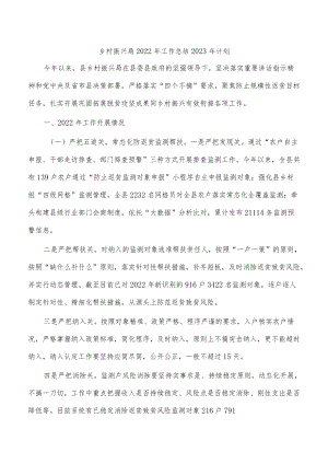 乡村振兴局2022年工作总结2023年计划.docx