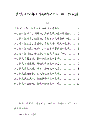 乡镇2022年工作总结及2023年工作安排.docx