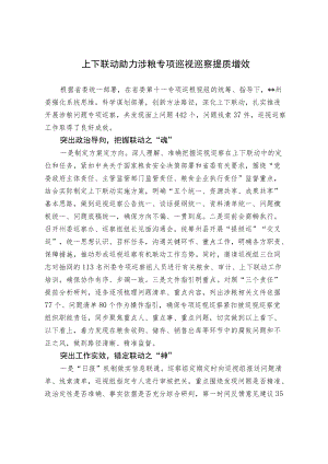 上下联动助力涉粮专项巡视巡察提质增效.docx