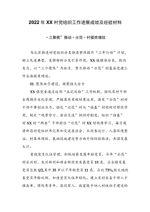 2022年XX村党组织工作进展成效及经验材料.docx