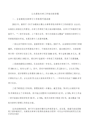 公办高校内审工作培训班讲稿.docx