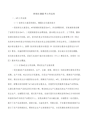 供销社2022年工作总结.docx