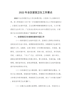 2022年全区爱国卫生工作要点.docx