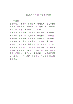 会议反映反响 心得体会常用词语.docx