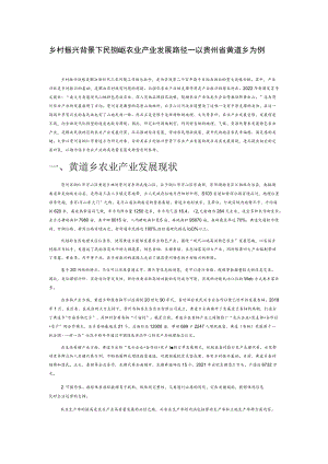 乡村振兴背景下民族地区农业产业发展路径—以贵州省黄道乡为例.docx