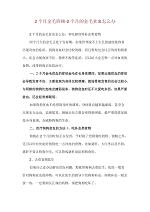 2个月金毛四顿-2个月的金毛贫血怎么办.docx
