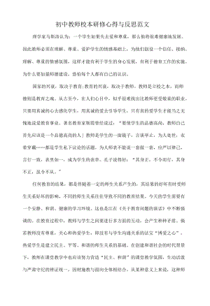 初中教师校本研修心得与反思范文.docx
