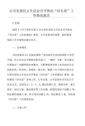 公司党委民主生活会召开情况“回头看”工作情况报告.docx