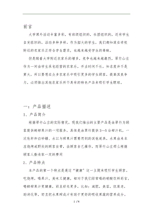 新产品项目策划书.doc