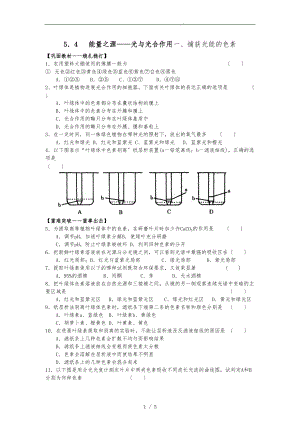 能量之源光与光合作用_练习.doc