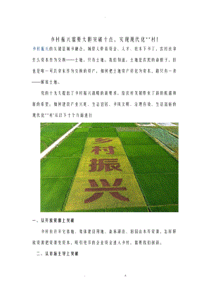 乡村振兴需要大胆突破十点实现现代化新乡村.docx