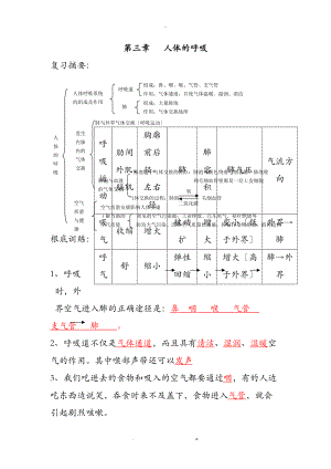 人体的呼吸练习及答案.doc