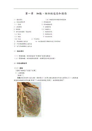细胞组织的适应和损伤讲义全.doc