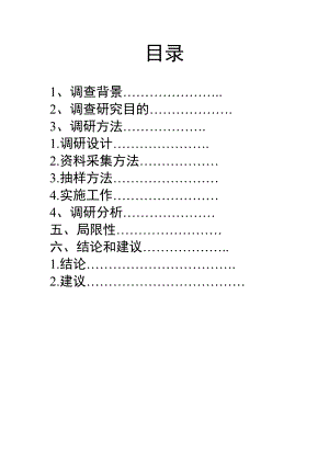 网络流行语调研报告材料.doc
