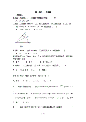 初一数学综合练习题集与答案解析提高篇.doc