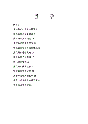 商业实施计划书标准范本5.doc