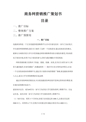商务网营销推广策划书.doc