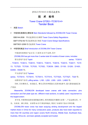TC500-4技术标书中英文.doc