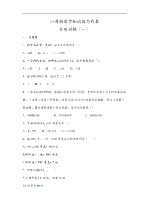 小升初数学知识数及代数专项训练一.doc