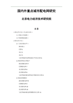 国内外重点城市配电网设计研究.doc