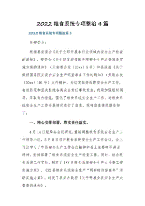 2022粮食系统专项整治4篇.pdf