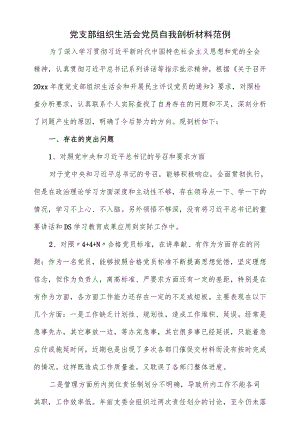 党支部组织生活会党员自我剖析材料范例（四页）.docx
