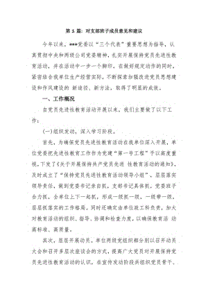 对支部班子成员意见和建议5篇.pdf