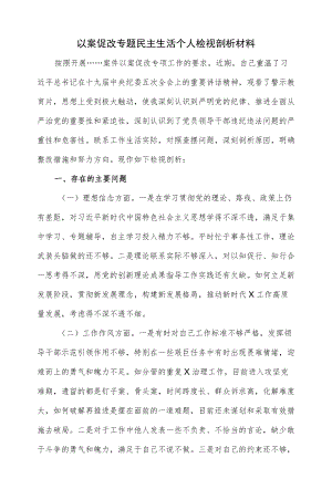 以案促改专题民主生活个人检视剖析材料（四页）.docx