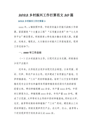 2022乡村振兴工作打算范文20篇.pdf